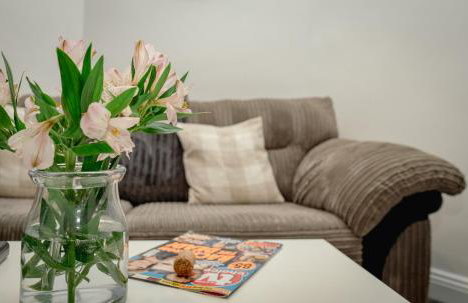 Bega House Apartment - Foto 3