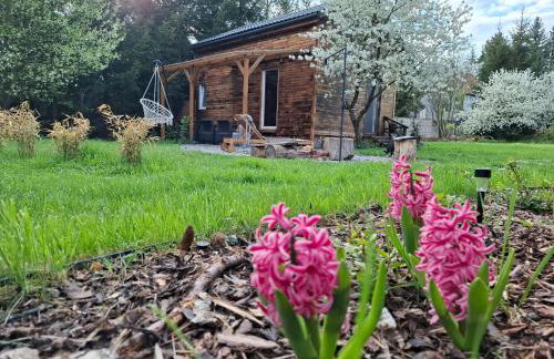 Jeżówka i Sudetka - Foto 29