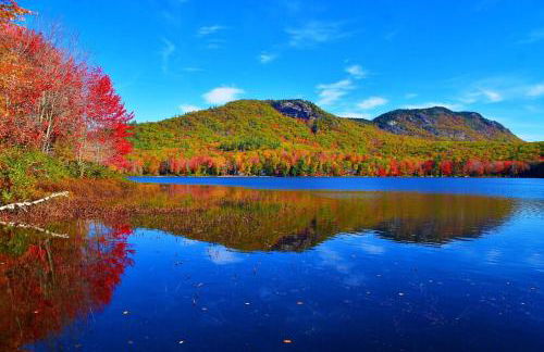 Toms Cabin On Lake Christopher - Foto 44