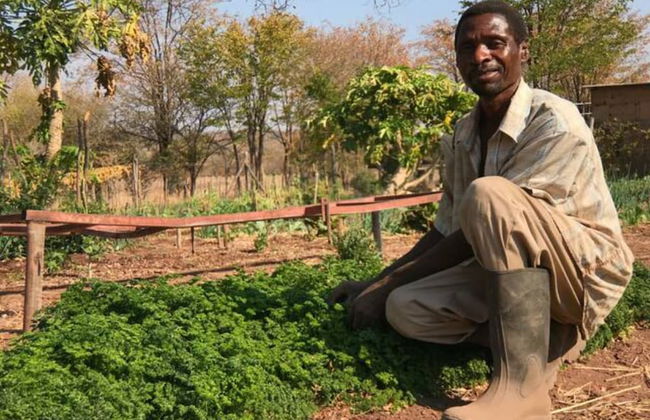 Charming Bush Chalet 6 on This World Renowned Eco Site 40 Minutes From Vic Falls Fully Catered Stay - 1986 - Foto 17