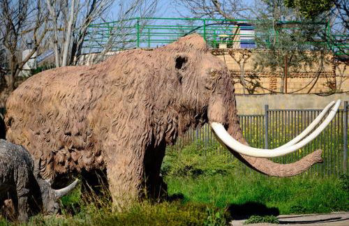 Finca Bellas Vistas - Foto 59