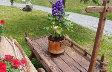 Chalet Renzo - Foto 32