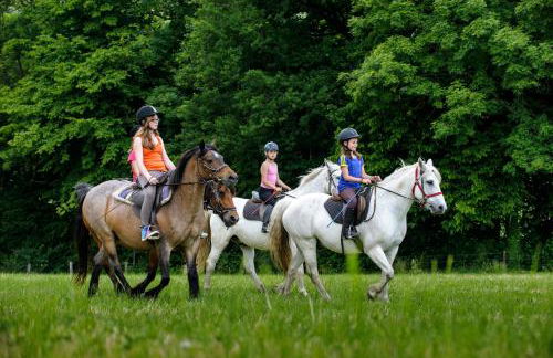 Nengshof Ferienhaus Gänseblümchen - Foto 30