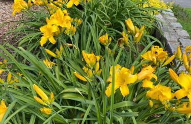 Izerski Poranek - Foto 22