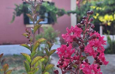 A Sense of Calm & Relaxation - Foto 40