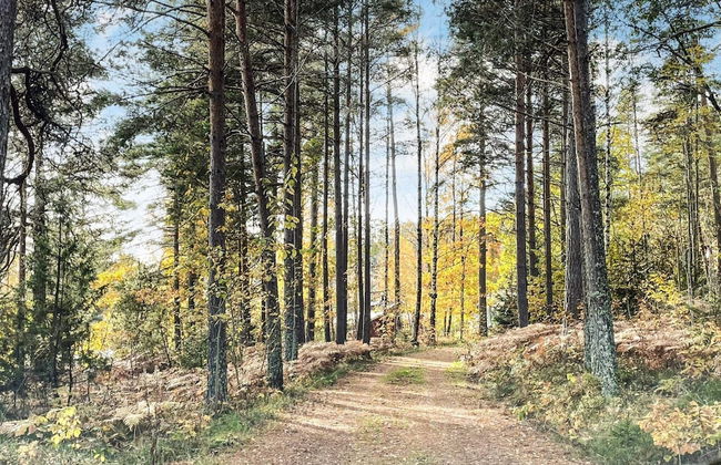 Peaceful Forest Cabin in Dalsland - Photo 30