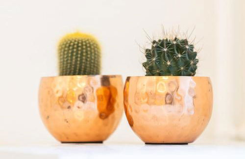 Le Palm Spring - studio cosy en centre-ville - Foto 11