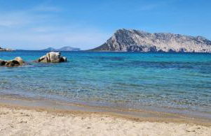 Flamingo's Home - Foto 22