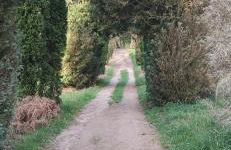 gîte résidence de la fontaine à Compreignac - Foto 22