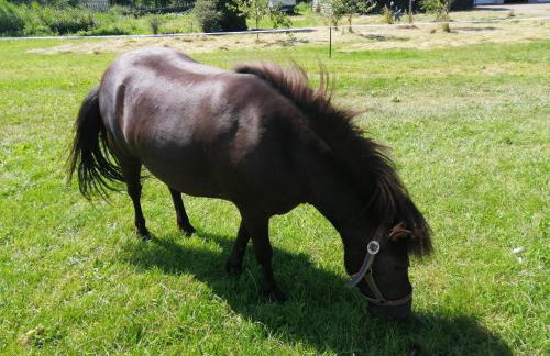 Przystanek Trześcianka - Foto 47