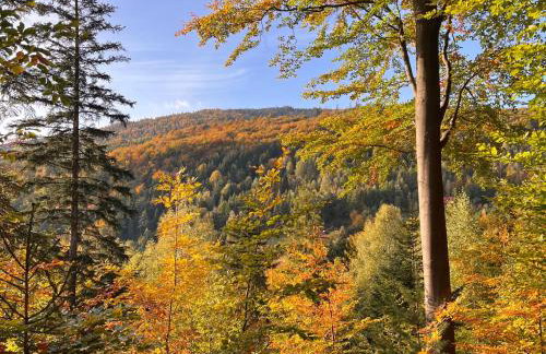 Dom Przy Czerwonym Szlaku - The Red Trail Cottage - Foto 4