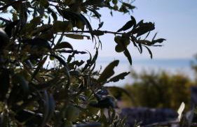 Apartment Tušek - Foto 74