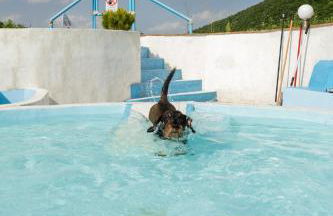 Agriturismo Carincone - Foto 68