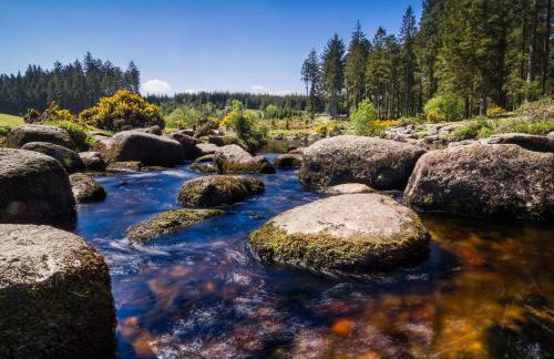 1 Bed in Yelverton oc-93333 - Foto 20