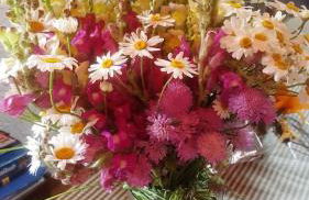 Les Forques de'n Pep - Foto 47