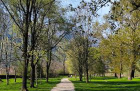 Casa Betty - Photo 44