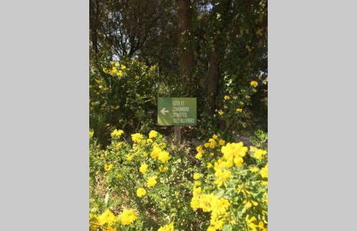 Ma petite cabane Gites des oliviers - Foto 19