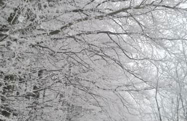 Ferienhaus Valle Verde in Kall-Steinfeld - Foto 33