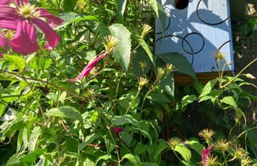 Gites & Cocon des Puys - Au cœur des Volcans d'Auvergne - Foto 28