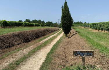 Majellon, Appartement à l‘ouest - Photo 9