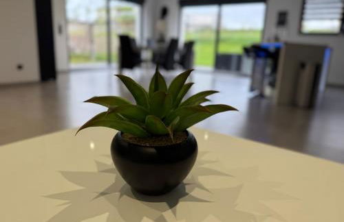 Villa Chipie neuve & grand standing ! - Photo 9