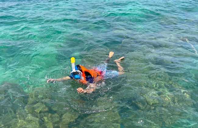 Phi Phi Islands & Maya Bay Day Trip - Photo 6