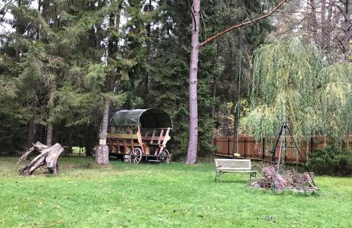 Modrzewiowy Dworek - Foto 13