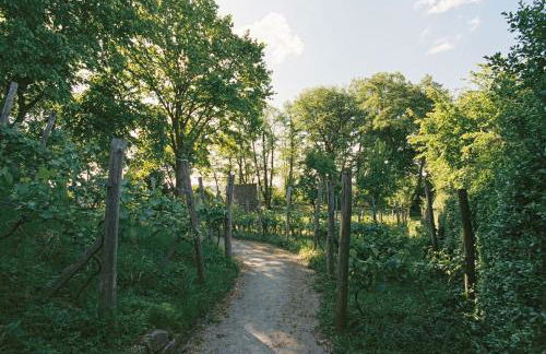 Am Mühlenberg - Photo 70