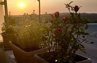 Trachos Traditional House - Foto 44