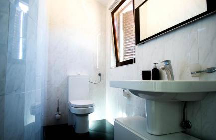 Vila Visnjic - Foto 45