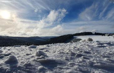 Haus Schneider - Photo 30