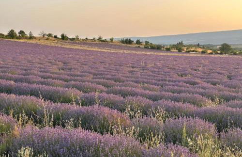 Studio in Montbrun Castle with Pool - Foto 32