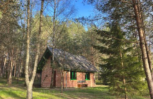 Raj na Kaszubach - Pałubicka Bór - Domy na Wynajem - Foto 31