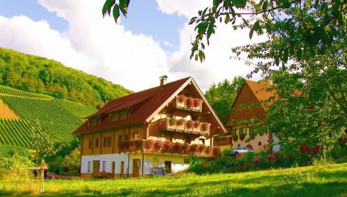 Weingut und Ferienhof Josef Huber - Foto 3