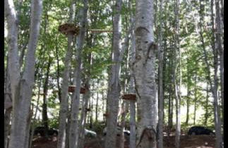 Il Telaio - Pian di Nenne - Foto 34