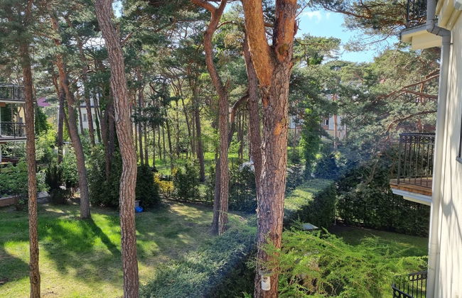 2 bedroom Apartment in Jastarnia - Photo 18