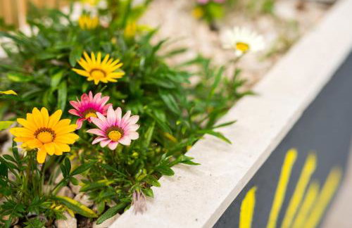 Apartmani Galić - Foto 17