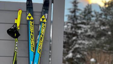 FarmHouse Eckartsberg im Zittauer Gebirge - Ferienwohnung mit 2 Schlafzimmern, Terrasse und WALLBOX - Foto 4