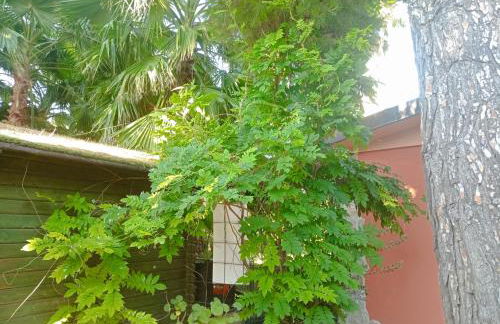 Cottage Milvia - Foto 33