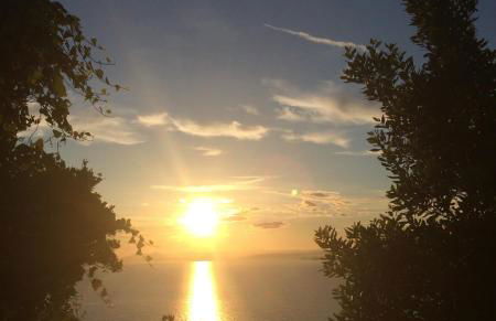 Les Terrasses Levantines - Foto 42