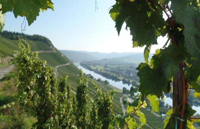 Apartment in Veldenz With Balcony - Foto 28