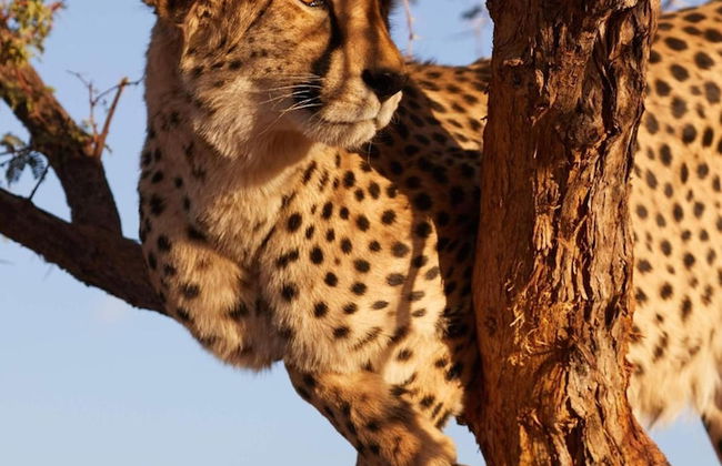 Solitaire Desert Farm - Foto 29