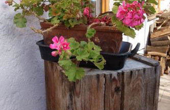 Apartment Apartment - Monteure by Interhome - Foto 12