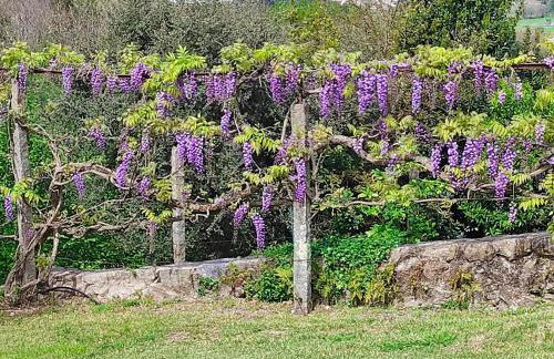 Casa do Alto (top floor apartment) - Foto 45