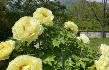 Hilltop Lodge Orma - Foto 9