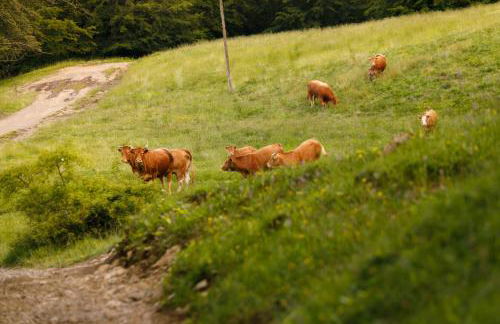 Agriturismo Carovane - Photo 20