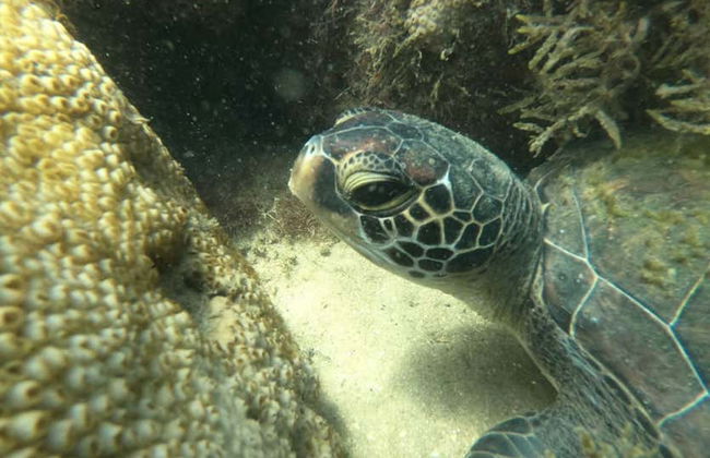 Snorkeling alla spiaggia di Sepultura - Foto 10