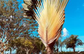 Casa Maceió Jardim das Palmeiras próx Aeroporto - Foto 20