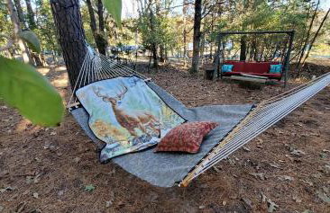 Magical Tree House Rental Nestled in the Woods on Farm Retreat near St. Louis, Missouri - Foto 6
