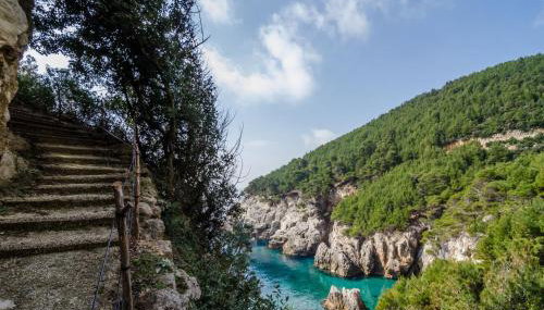 Apartmani Popović - Foto 3